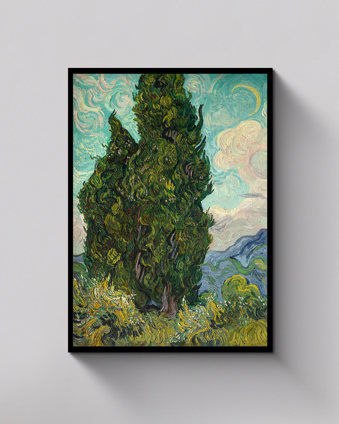 Cypresses