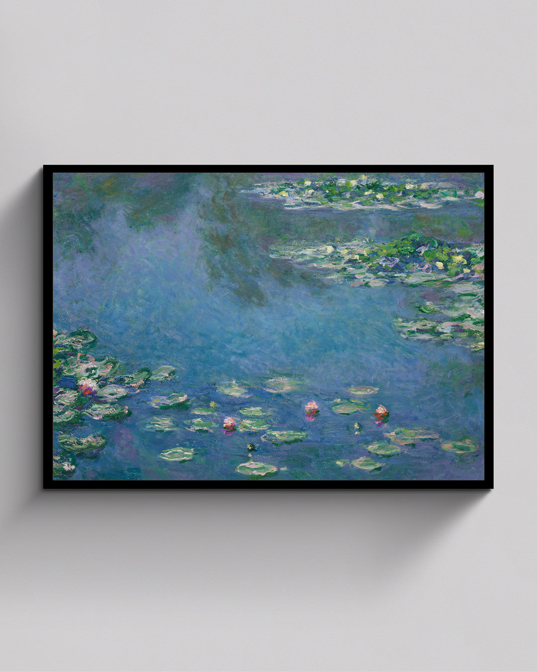 Water Lilies