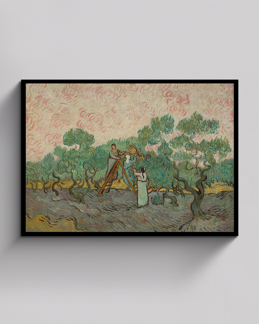 Women Picking Olives